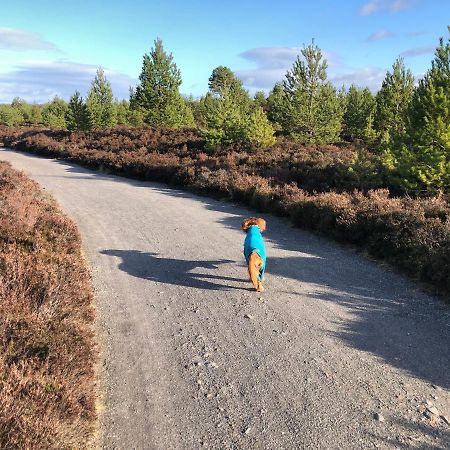 Ventoux Villa Aviemore Kültér fotó