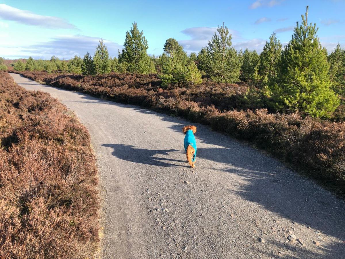 Ventoux Villa Aviemore Kültér fotó
